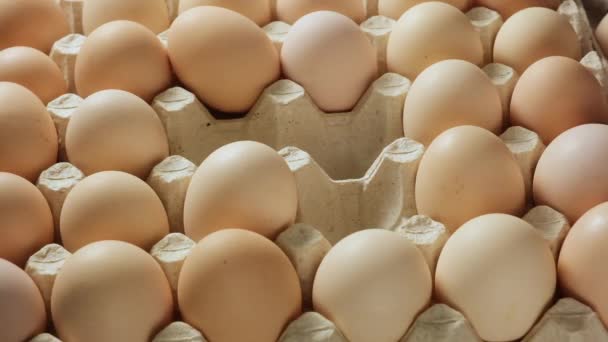 Mano Pone Huevos Pollo Frescos Enteros Una Bandeja Papel Cerca — Vídeo de stock