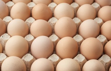 Yuvarlak kahverengi ev yapımı tavuk yumurtaları kağıt tepside, seçici odaklanma, yakın çekim.