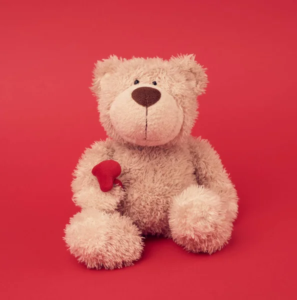 Little Brown Teddy Bear Toy Sitting Red Background Close — Stock Photo, Image