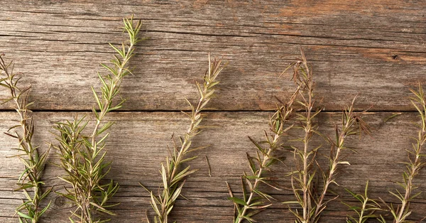 Verse Groene Takjes Rozemarijn Gebonden Met Een Bruin Touw Liggen — Stockfoto