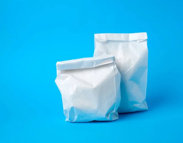 Két Teljes Papír Eldobható Élelmiszer Zacskók Kék Háttér Koncepció Szállítás — Stock Fotó