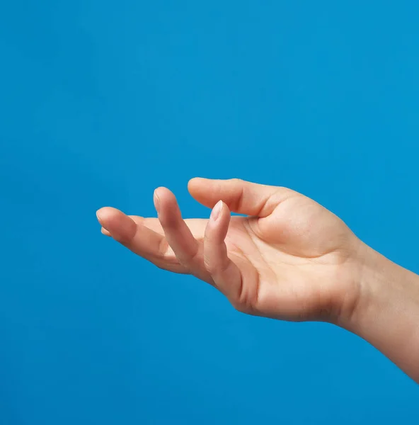 Vrouwelijke Hand Met Een Open Palm Een Blauwe Achtergrond Imitatie — Stockfoto