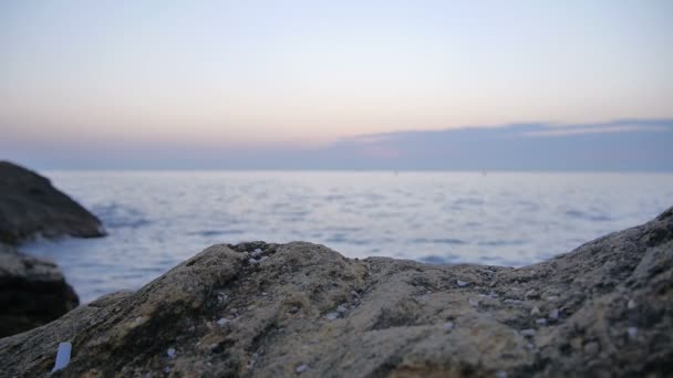 Salida del sol temprano en la mañana sobre el mar donde vuelan los pájaros — Vídeos de Stock