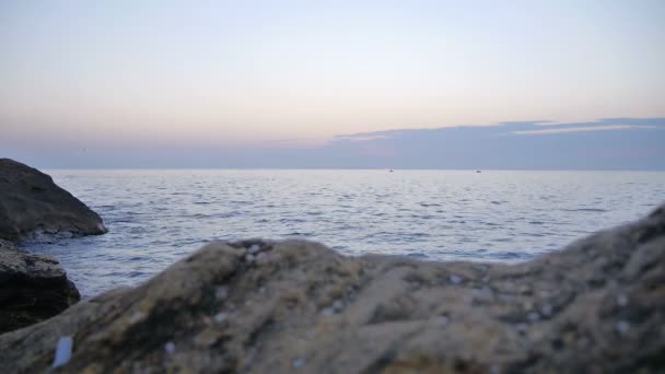 Wcześnie rano wschód słońca nad morzem gdzie ptaki latające — Wideo stockowe