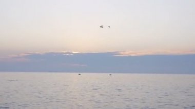 Erken sabah gündoğumu denize nerede uçan kuşlar