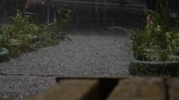 Hombre corriendo fuera de la lluvia pesada en Asphalt Road. Disparo estático — Vídeos de Stock