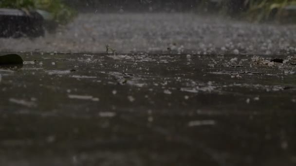 Zware regenval op een asfaltweg. Statische Shoot — Stockvideo