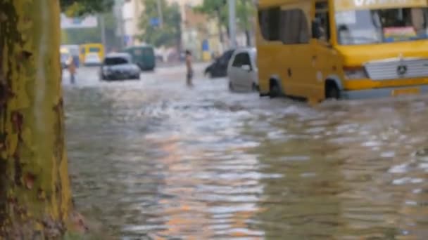 Carretera inundada después de fuertes lluvias, coches moviéndose lentamente en aguas profundas — Vídeo de stock