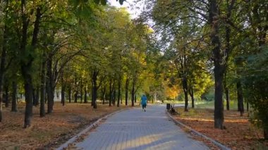 Aşağıdaki eski kadın yaz güneş günü büyük bir yeşil parkta yürüyüş yolu