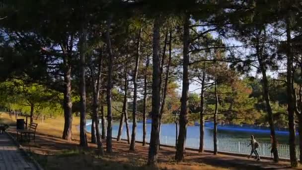 Lago en el parque central — Vídeo de stock