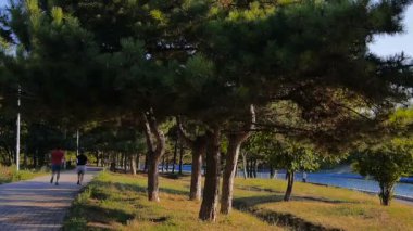 Parkı koşu içinde genç çift bak kafelere lake yakınındaki arkadan