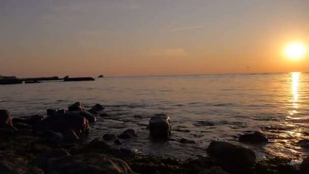 Ранній ранок Схід сонця над морем де Політ птахів — стокове відео