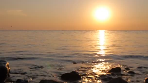Salida del sol temprano en la mañana sobre el mar donde vuelan los pájaros — Vídeos de Stock