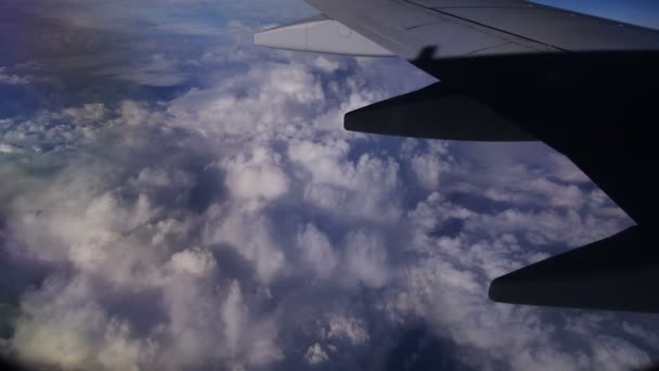 View through an airplane window in the blue sky in clouds — Stock Video