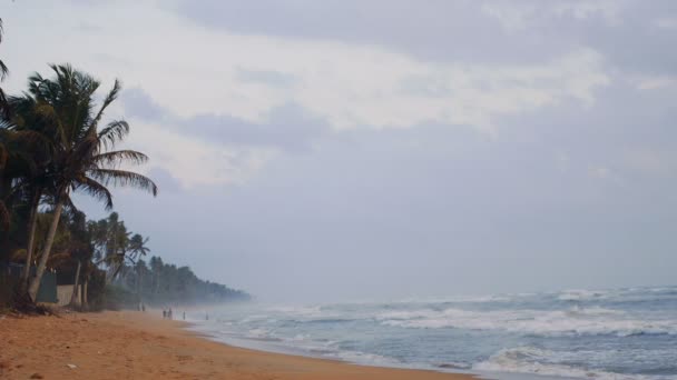 Tampilan pantai Sri Lanka dekat laut India saat senja — Stok Video