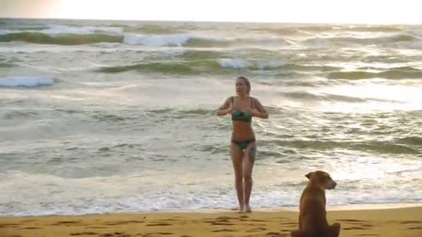 Молода дівчина, купання в океані зі своїм собакою чекає на пляжі, Шрі-Ланка — стокове відео