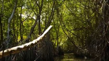 Kalu Ganga nehir Sri Lanka, tekne ile yolculuk
