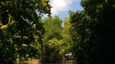 Kalu Ganga nehir Sri Lanka, tekne ile yolculuk