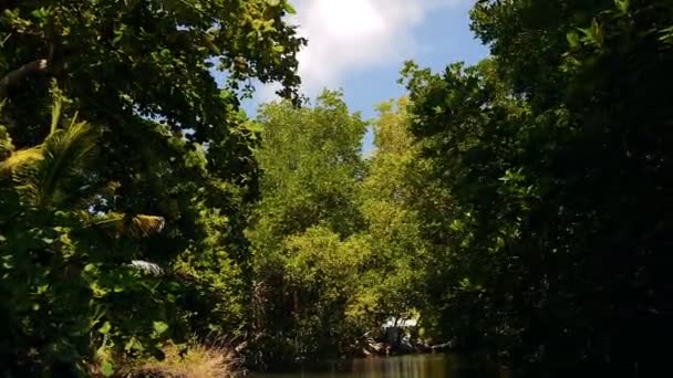 Rivière Kalu Ganga au Sri Lanka, voyageant en bateau 