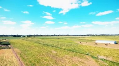 Sarı çiftlik antenler deve kuş-göz ile çalışma