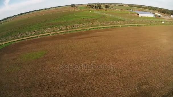 Shooting from air drone. Green farm of camels in Australia — Stock Video
