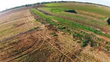 Hava dron--dan ateş. Avustralya'da deve yeşil çiftlik