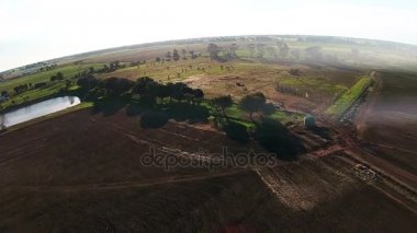Hava dron--dan ateş. Avustralya'da deve yeşil çiftlik