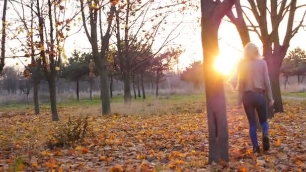 Mujer joven felicidad bailando entre las hojas coloridas de otoño en la puesta del sol — Vídeos de Stock