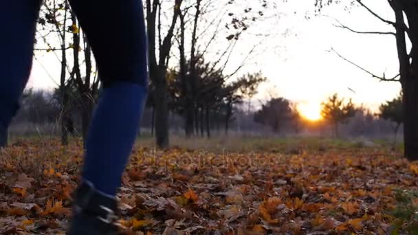 Mladá dívka štěstí běh a skryté mezi podzimní listí v západu slunce — Stock video
