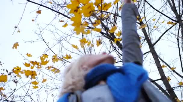 Blond dziewczynka szczęście złapać kolorowych liści jesienią w zachód słońca — Wideo stockowe