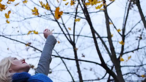 Blond girl happiness catch the autumn colorful leaves in sunset — Stock Video