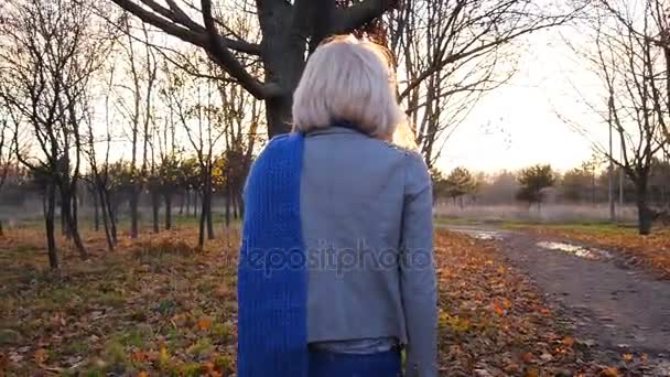 Ragazza felicità corsa e nascosta tra le foglie autunnali al tramonto — Video Stock