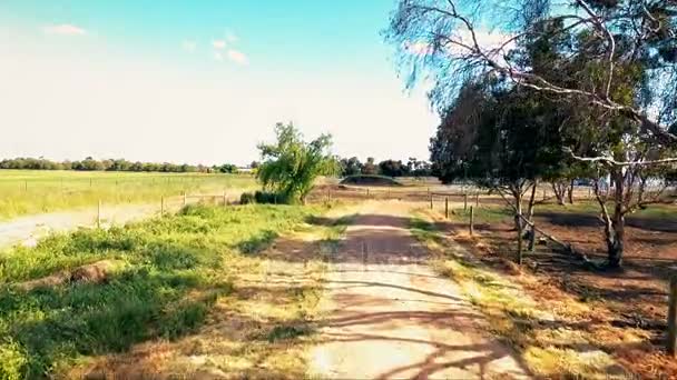 Camino rural de tierras de cultivo y hermoso campo de colza en flor panorama con nubes — Vídeo de stock