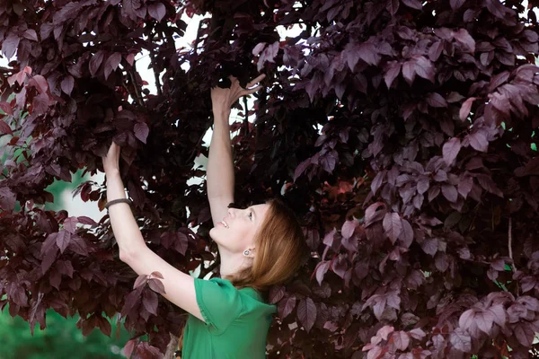 Rousse mignonne fille en violet ou brun feuilles portrait — Photo