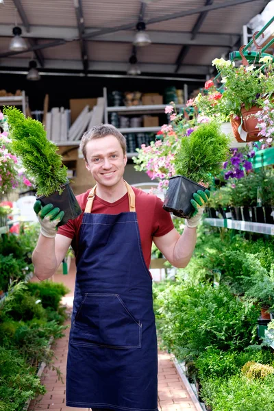 Venditore giovane nel mercato vegetale serra al lavoro — Foto Stock