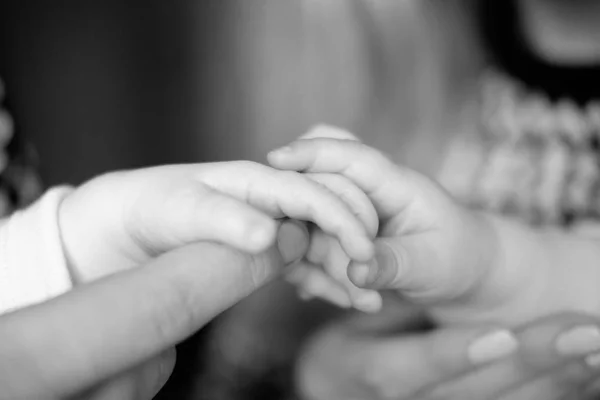 Babies holding each other hands, monochrome, close up