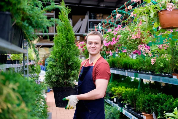 Молодой человек продавец растительного рынка теплицы на работе, флорист — стоковое фото