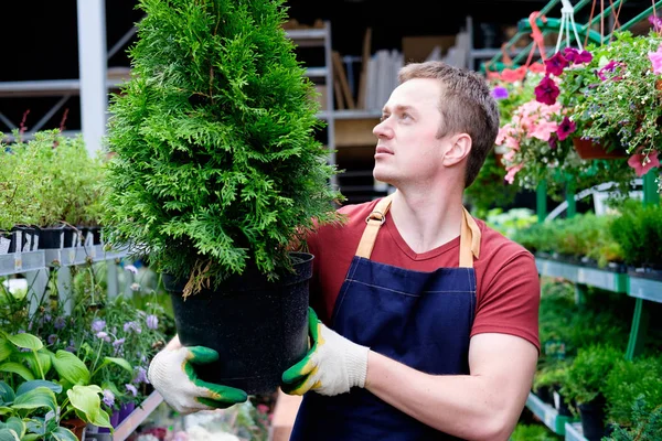 Молодой человек продавец растительного рынка теплицы на работе, флорист — стоковое фото