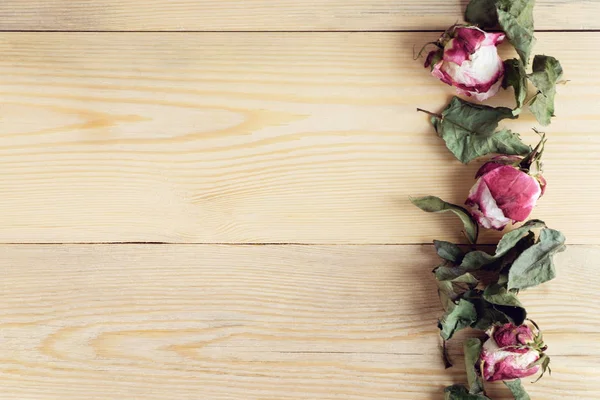Rosas secas e folhas no fundo de madeira com espaço de cópia, topo — Fotografia de Stock