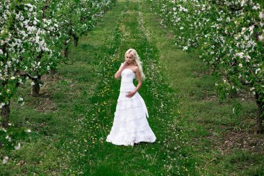 Çiçek açan elma bahçede harika sarışın gelin