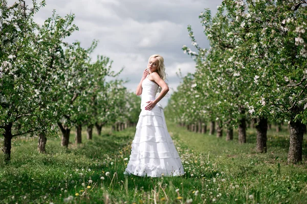 Fantastiska blonda bruden i blommande apple trädgård — Stockfoto