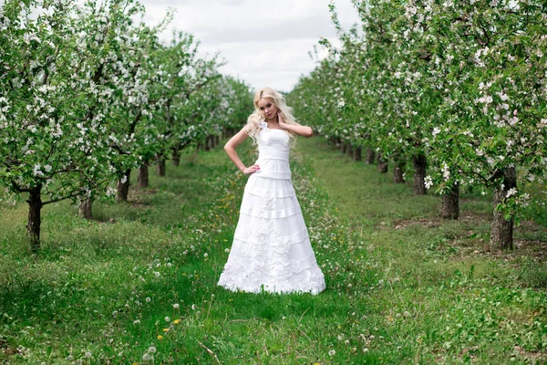 Fantastiska blonda bruden i blommande apple trädgård — Stockfoto