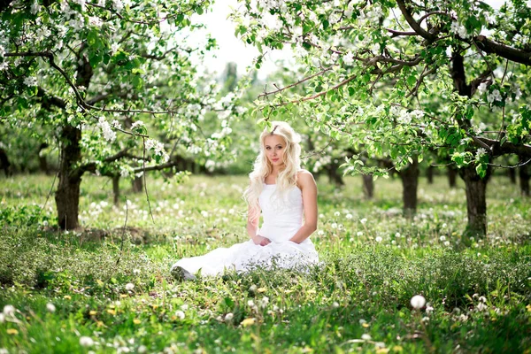 Úžasné blond nevěsta sedí v trávě v kvetoucí zahradě apple — Stock fotografie