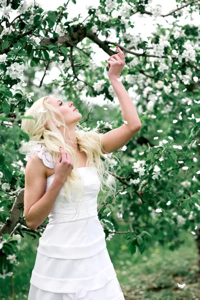 Дивовижна блондинка наречена ловить пелюстки в квітучому яблучному саду — стокове фото