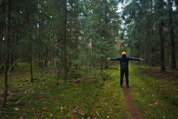 Caucásico hombre tiene un paseo en el bosque de abetos, disfrutando del medio ambiente —  Fotos de Stock