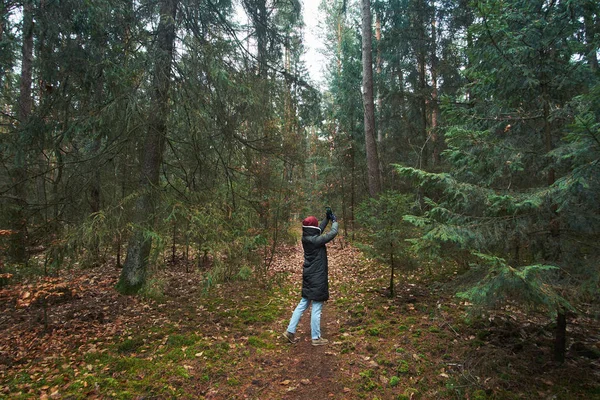 Женщина гуляет в осеннем лесу и делает фотографии на смартфоне — стоковое фото