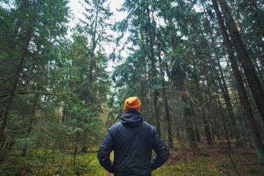Beyaz adamın Spruce Ormanı 'nda yürüyüşü var, arkadan yakından.