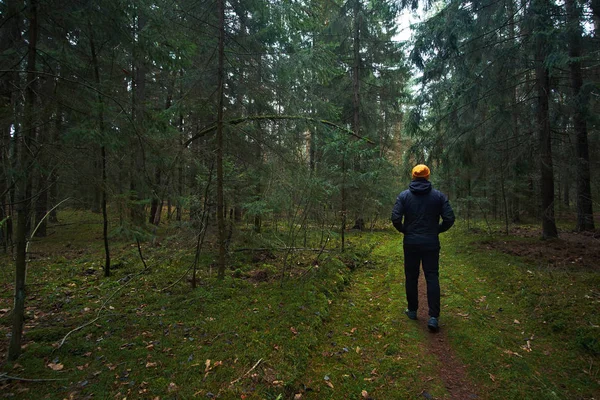 El hombre tiene un paseo en el bosque lluvioso de abeto de otoño —  Fotos de Stock