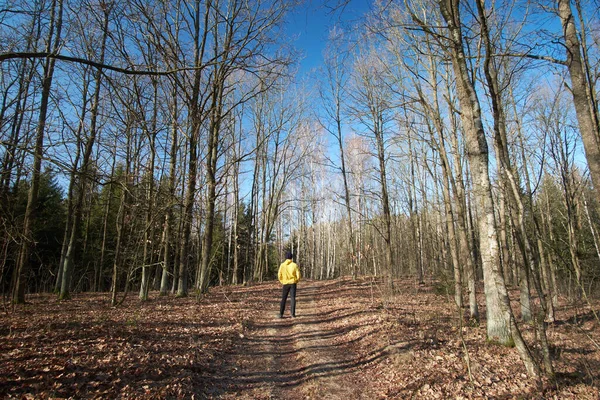 Hombre Vestido Con Impermeable Amarillo Deambulando Por Bosque —  Fotos de Stock