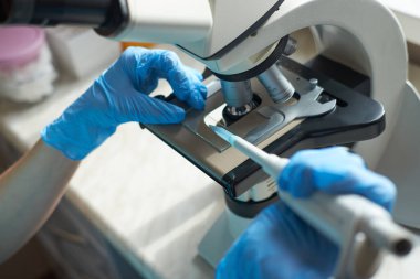 Mikroskopla çalışan özenli eller